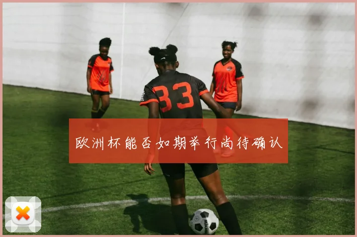 欧洲杯能否如期举行尚待确认